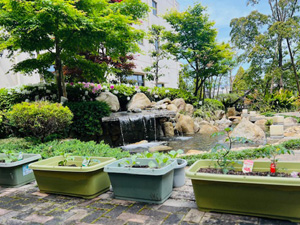 屋台の揚げたて串揚げ御膳